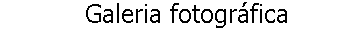 galeria fotografica